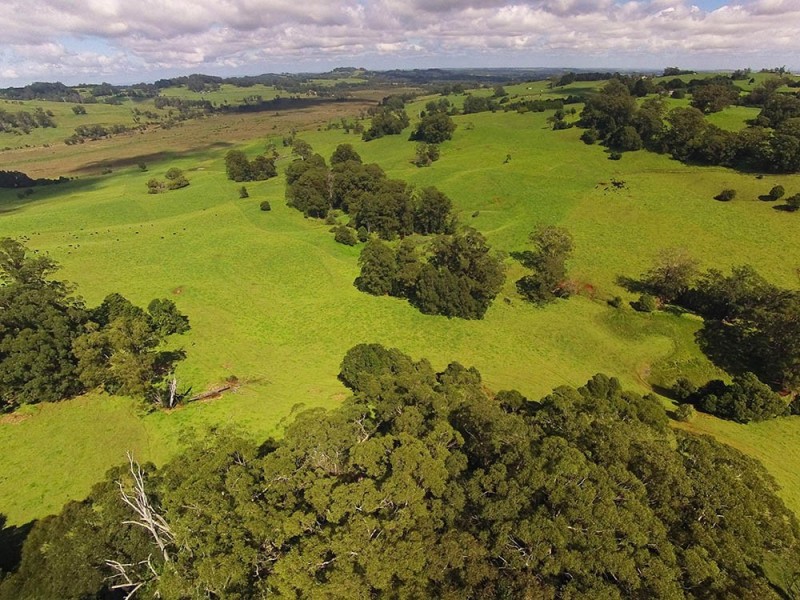 70 Warreeah Lane, Kangaloon NSW 2576