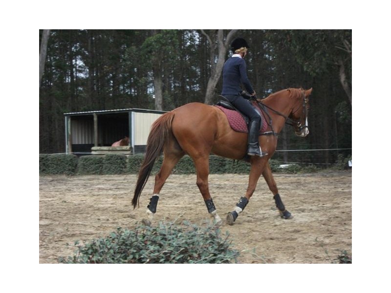 84 Newbury Drive, Penrose NSW 2579