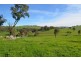 Lot 2 Pejar Road, Crookwell NSW 2583