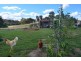 Lot 2 Pejar Road, Crookwell NSW 2583