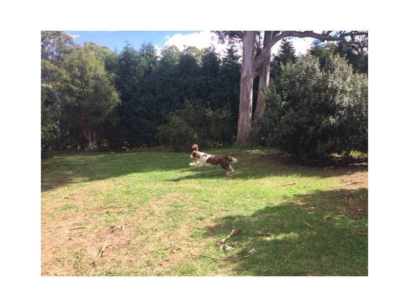 43 Rowland Road, Bowral NSW 2576
