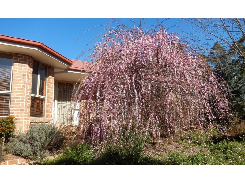 29A Birriga Avenue, Bundanoon NSW 2578