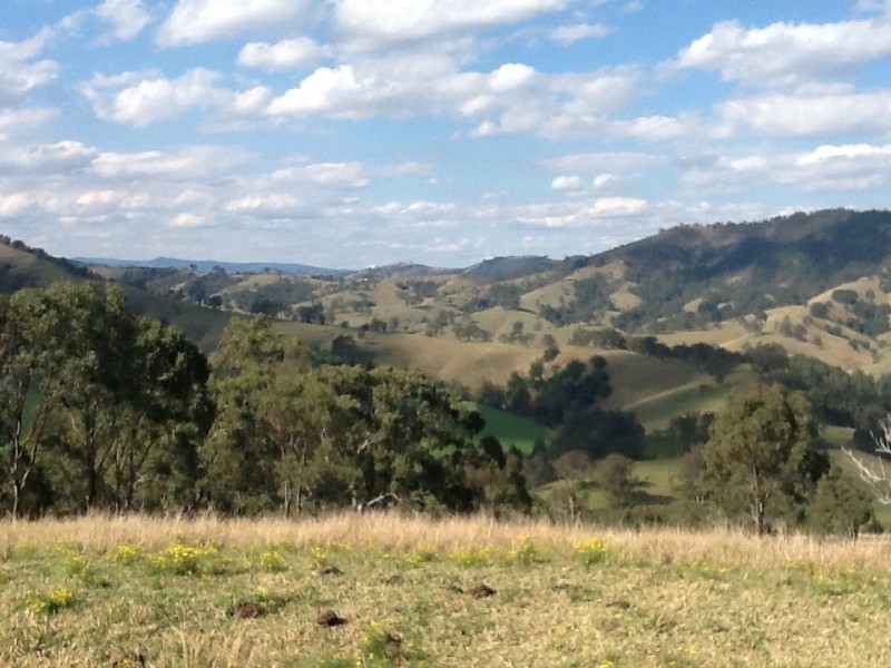 70/DP1152795 Paterson River Road, Lostock NSW 2311