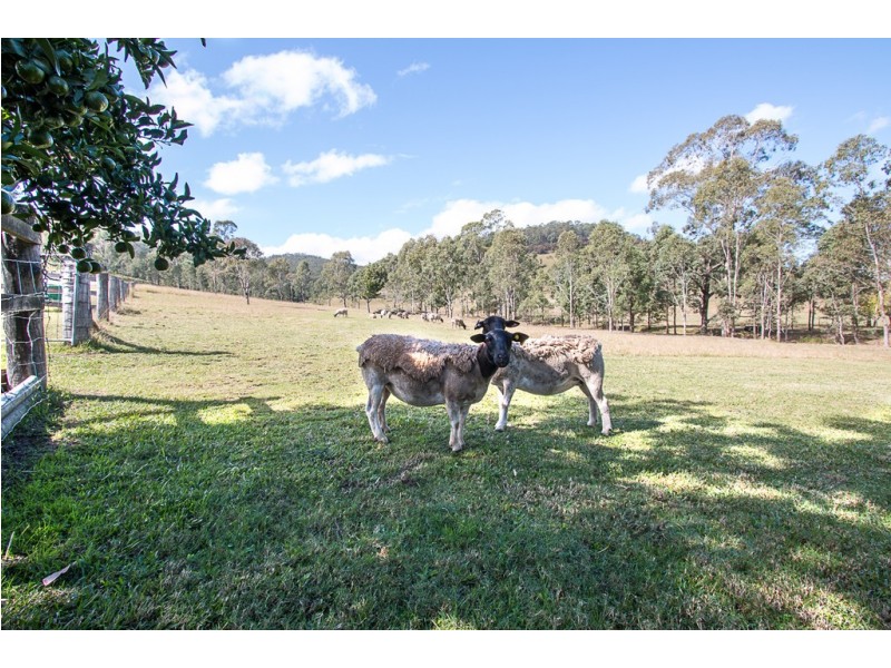 12 Tanna Road, Clarence Town NSW 2321