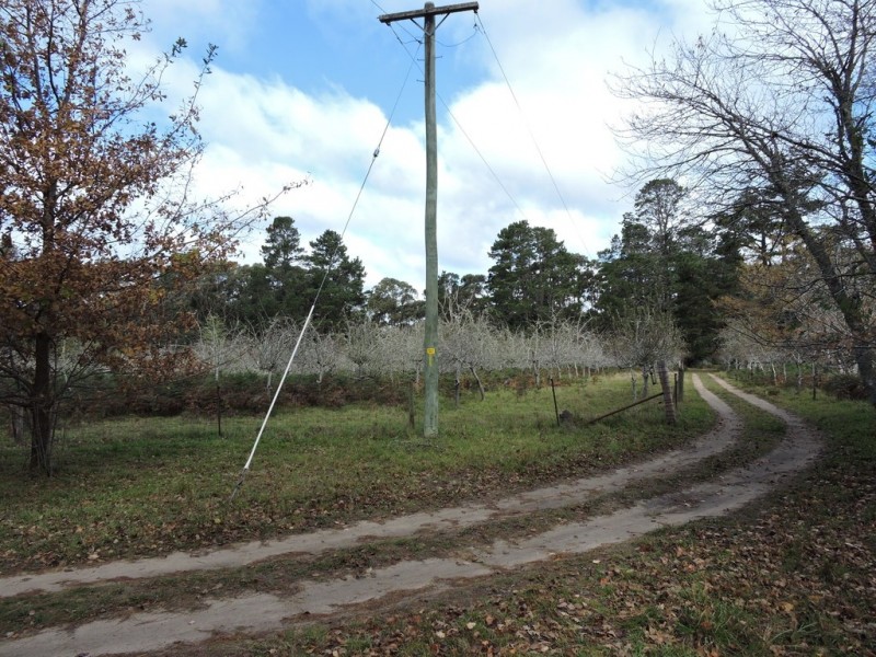 1107 Penrose Road, Penrose NSW 2579