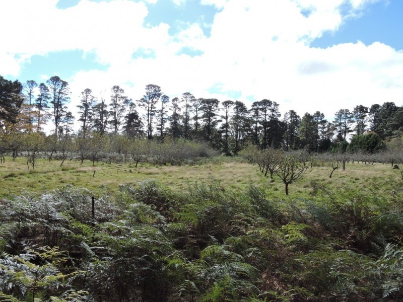 1107 Penrose Road, Penrose NSW 2579