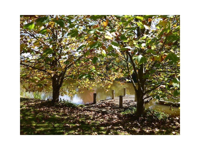 2 Odessa Street, Berrima NSW 2577