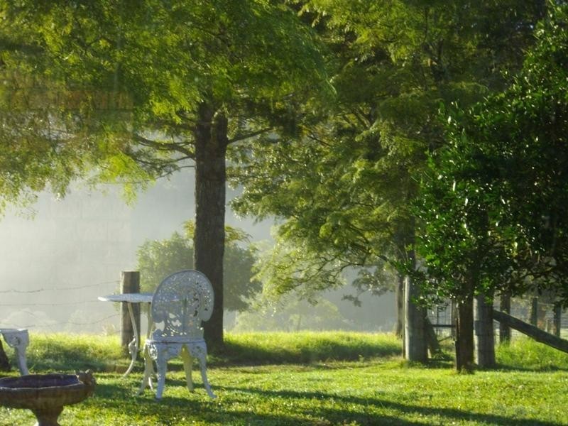 201 Sundowner Road, Millbank NSW 2440