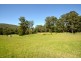 754 Main Creek Road, Dungog NSW 2420
