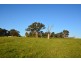 47 Horton Close, Clarence Town NSW 2321