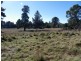 7031 Illawarra Highway, Moss Vale NSW 2577