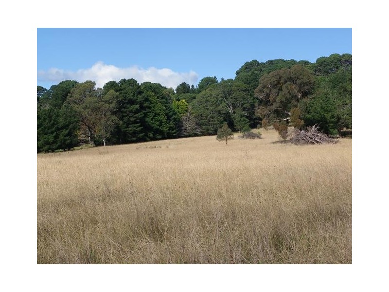 7031 Illawarra Highway, Moss Vale NSW 2577