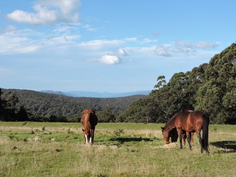 18 Razorback Road, Wingello NSW 2579
