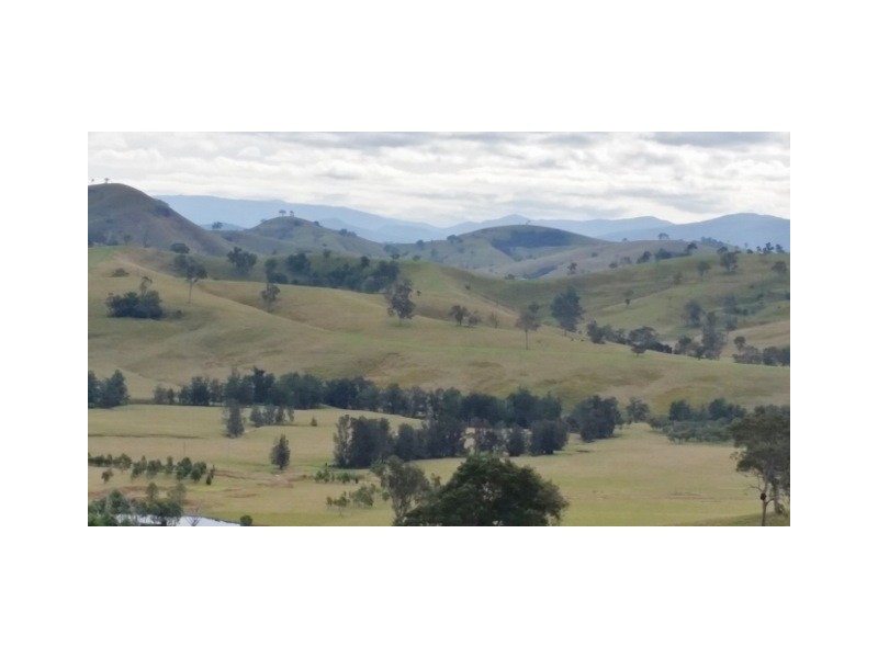 223 Hanleys Creek Road, Dungog NSW 2420