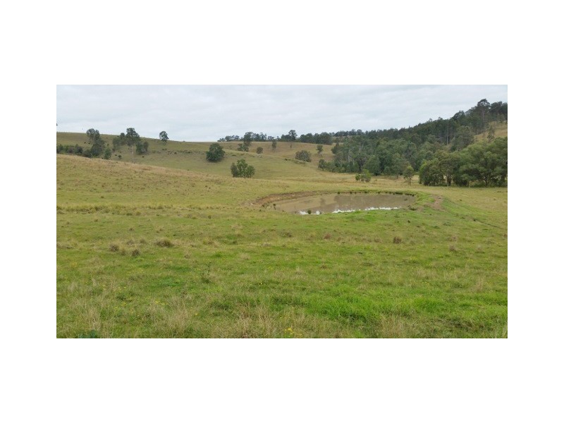 223 Hanleys Creek Road, Dungog NSW 2420