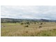 223 Hanleys Creek Road, Dungog NSW 2420