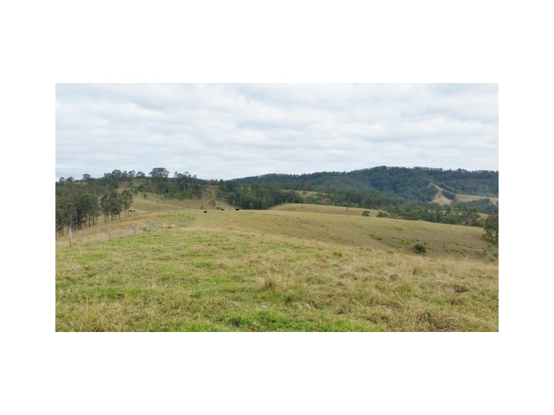 223 Hanleys Creek Road, Dungog NSW 2420