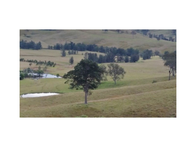 223 Hanleys Creek Road, Dungog NSW 2420