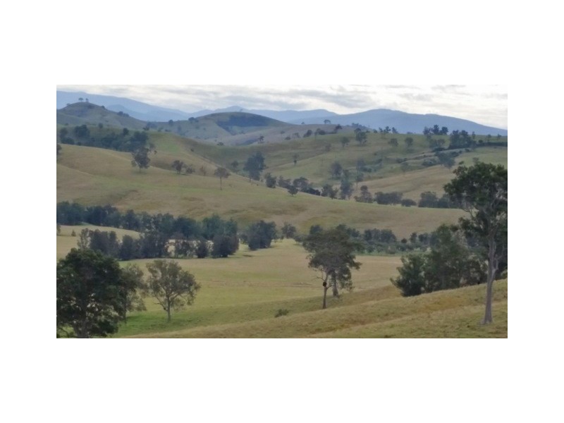 223 Hanleys Creek Road, Dungog NSW 2420