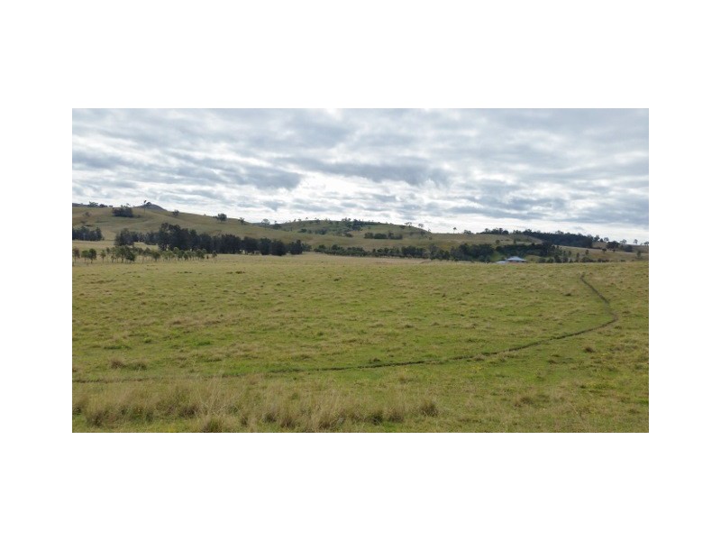 223 Hanleys Creek Road, Dungog NSW 2420