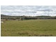 223 Hanleys Creek Road, Dungog NSW 2420