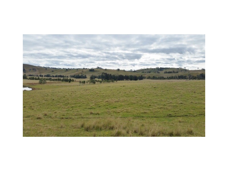 223 Hanleys Creek Road, Dungog NSW 2420