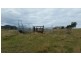 223 Hanleys Creek Road, Dungog NSW 2420