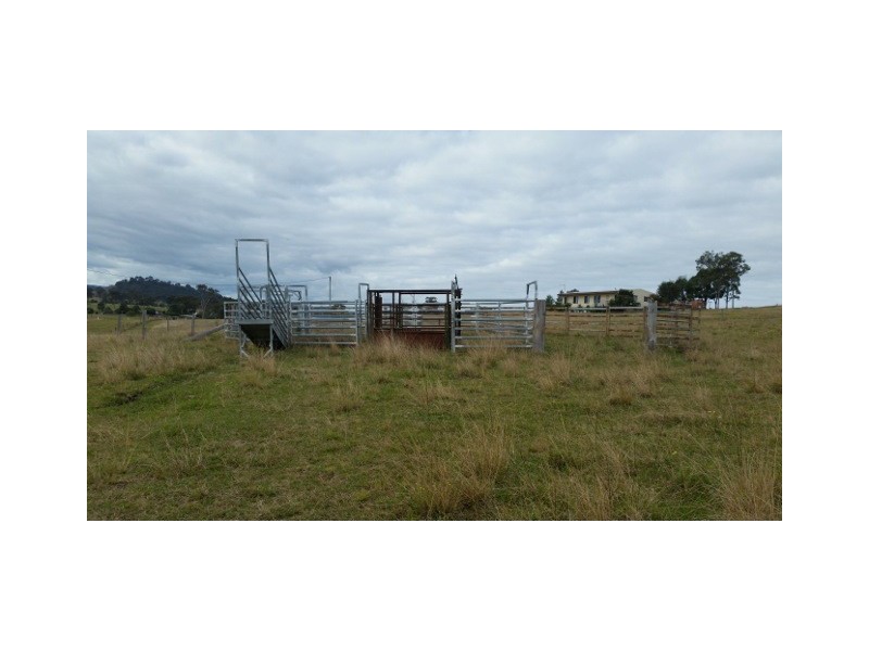 223 Hanleys Creek Road, Dungog NSW 2420
