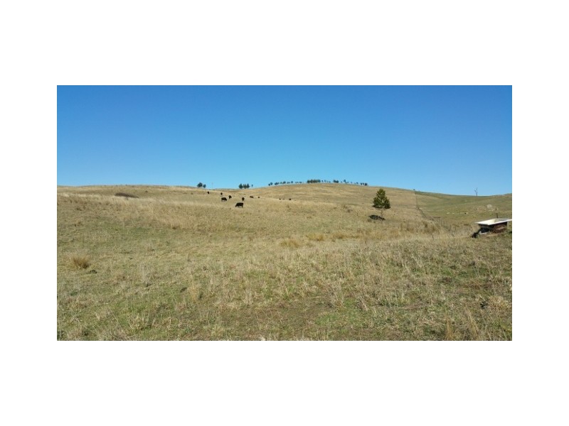 Lot 101 Longview Road, Big Hill NSW 2579