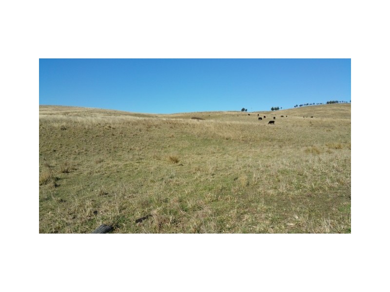 Lot 101 Longview Road, Big Hill NSW 2579