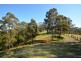 268 Vogeles Road, Martins Creek NSW 2420