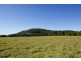 4004 Clarence Town Road, Dungog NSW 2420