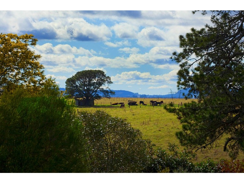 14 Yarwood Drive, Exeter NSW 2579