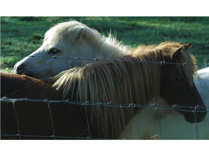 3620 Clarence Town Road, Dungog NSW 2420