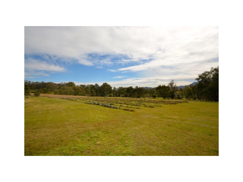 458 Elderslie Road, Branxton NSW 2335