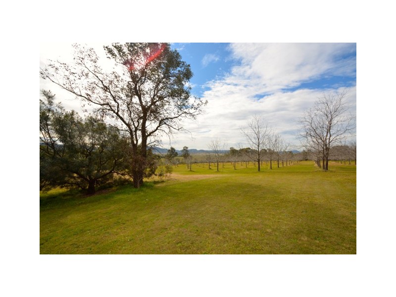 458 Elderslie Road, Branxton NSW 2335