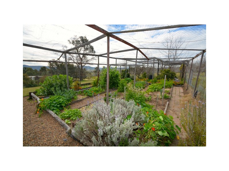 458 Elderslie Road, Branxton NSW 2335