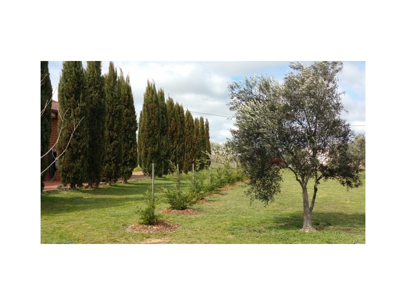 76 Maclura Drive, Marulan NSW 2579