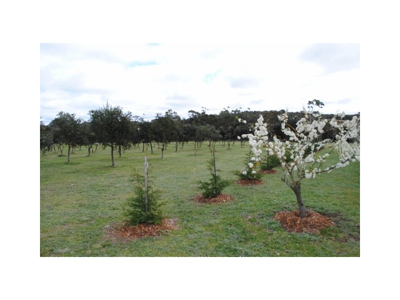 76 Maclura Drive, Marulan NSW 2579