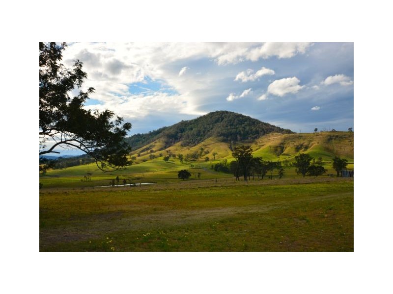 66 Hillsborough Road, Maitland Vale NSW 2320