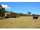 2680 Glendonbrook Road, Gresford NSW 2311
