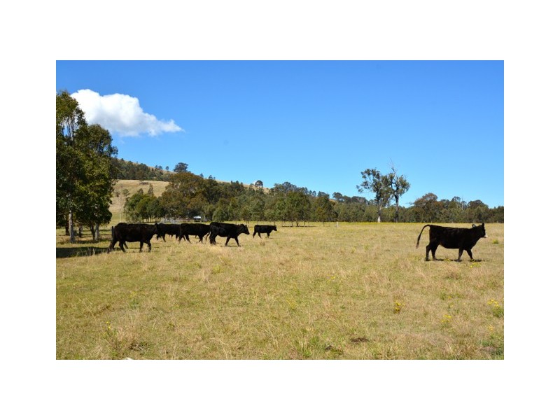 2680 Glendonbrook Road, Gresford NSW 2311