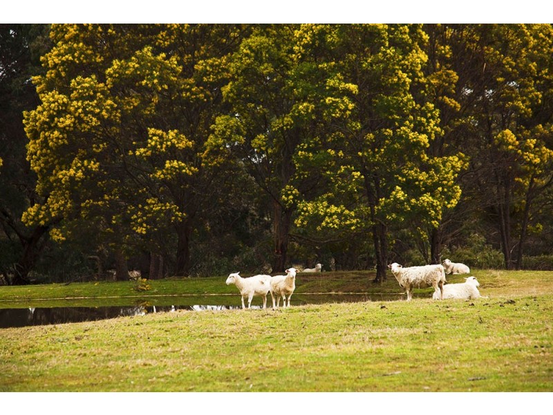 13021 Hume Highway, Sutton Forest NSW 2577