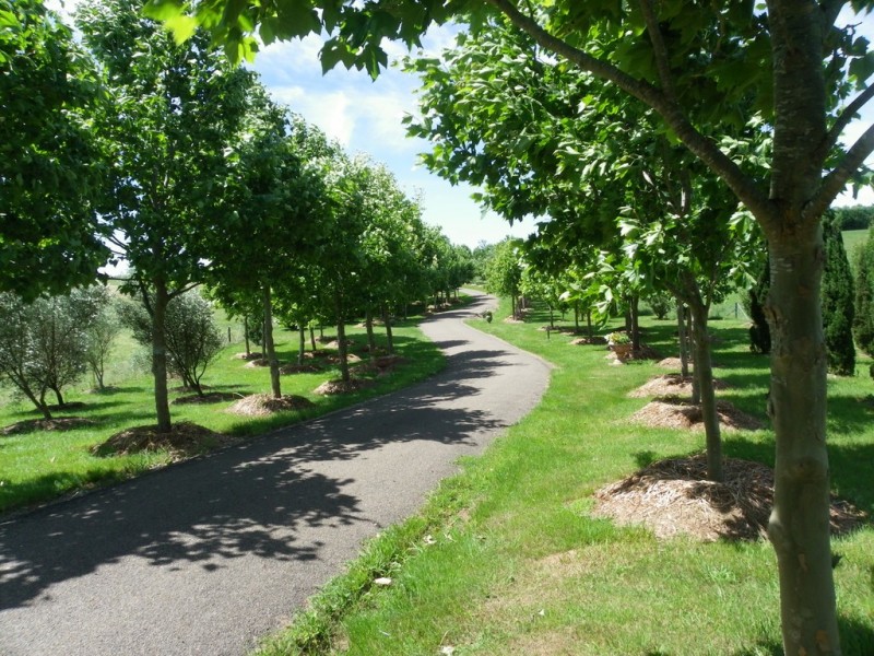 12521 Hume Highway, Sutton Forest NSW 2577