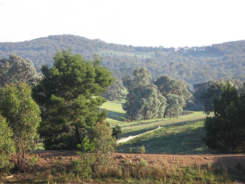 250 Bangadilly Road, Canyonleigh NSW 2577