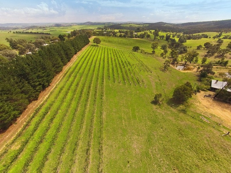 250 Bangadilly Road, Canyonleigh NSW 2577