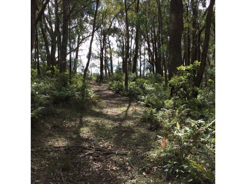 36 Corrie Road, Alpine NSW 2575