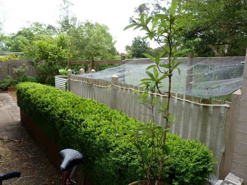 18 Charlotte St, Robertson NSW 2577