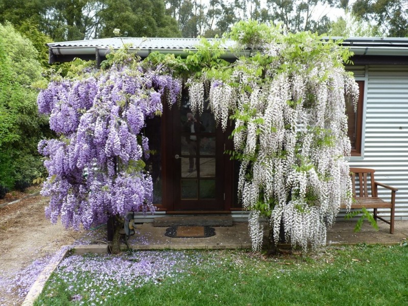 18 Charlotte St, Robertson NSW 2577