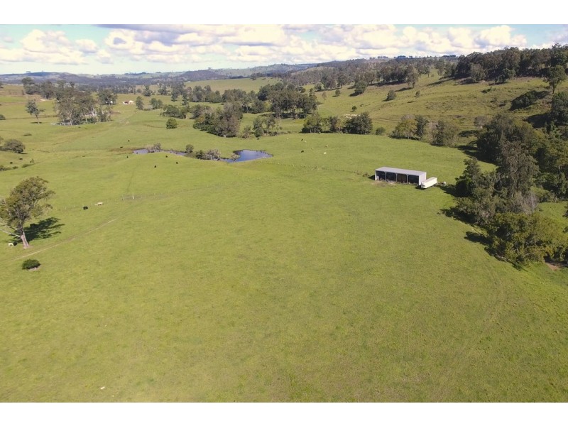 Dungog NSW 2420